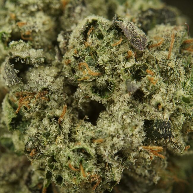 1/2p - TOM FORD PINK KUSH (SMALLS) (BULK) - INDICA - (AAA) - Image 2
