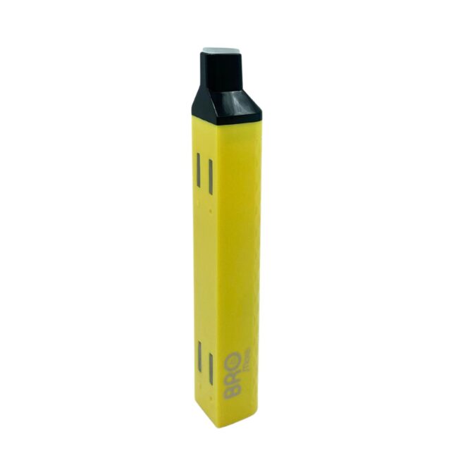 pp BMV m 1 (1)