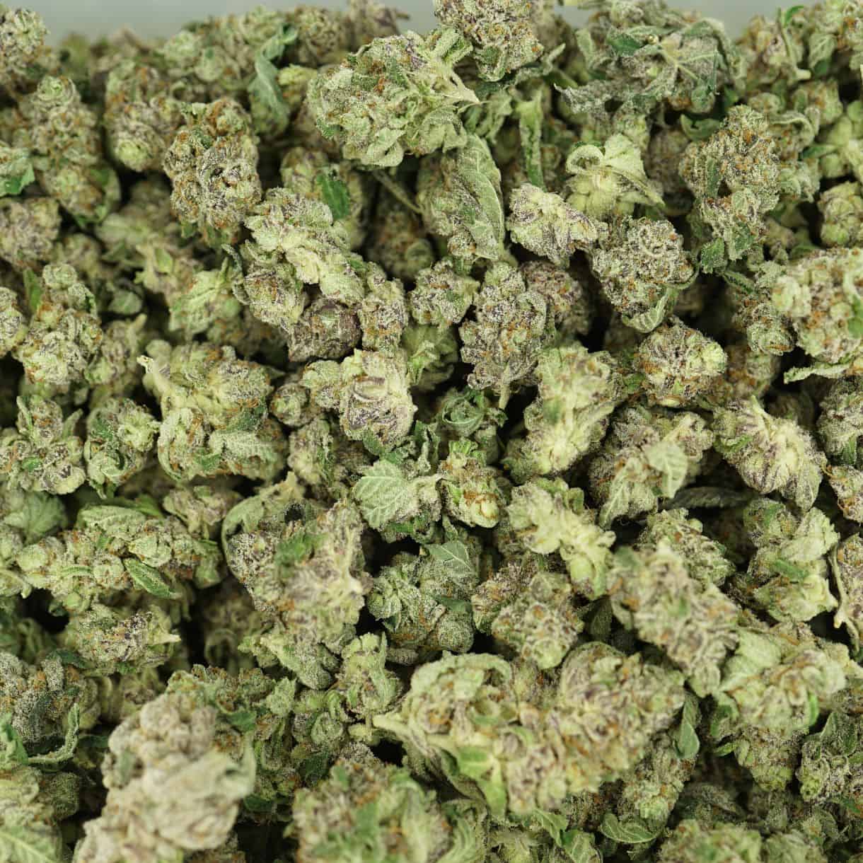 top view of cannabis buds with dense structure, frosty trichomes, and light green coloration