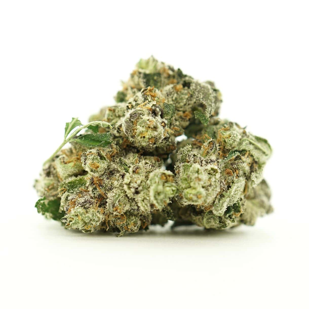 donkey butter close-up image of cannabis bud with frosty trichomes on a crisp white background