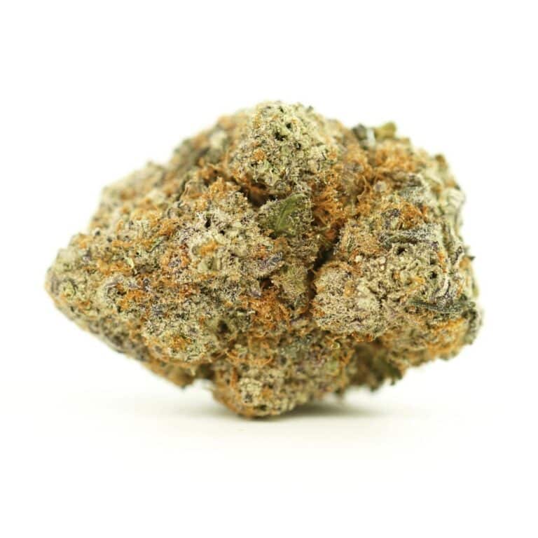 garlic truffle close-up image of cannabis bud with frosty trichomes on a crisp white background