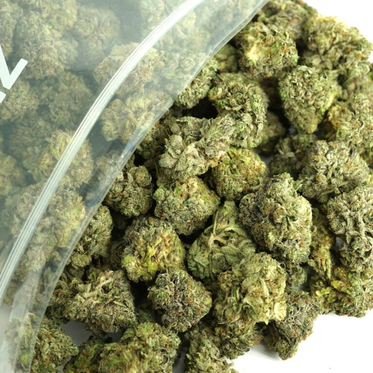 pp gpb 17