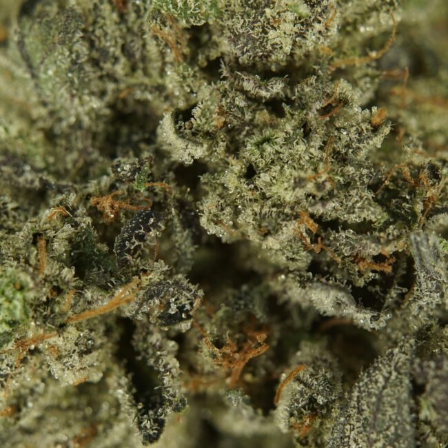 1/2p - GREASY PINK BUBBA (BULK) - INDICA - (AAA) - Image 2