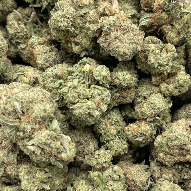 pp green 2