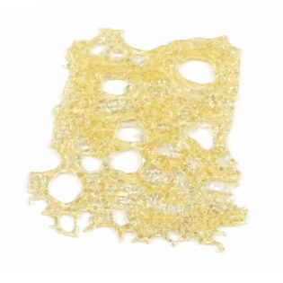 Close-up of a translucent golden cannabis concentrate slab with a porous, lace-like texture on a crisp white background.