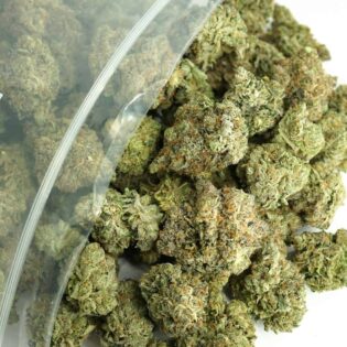 1/2p - PINE TAR KUSH (BULK) - INDICA - (AAA)