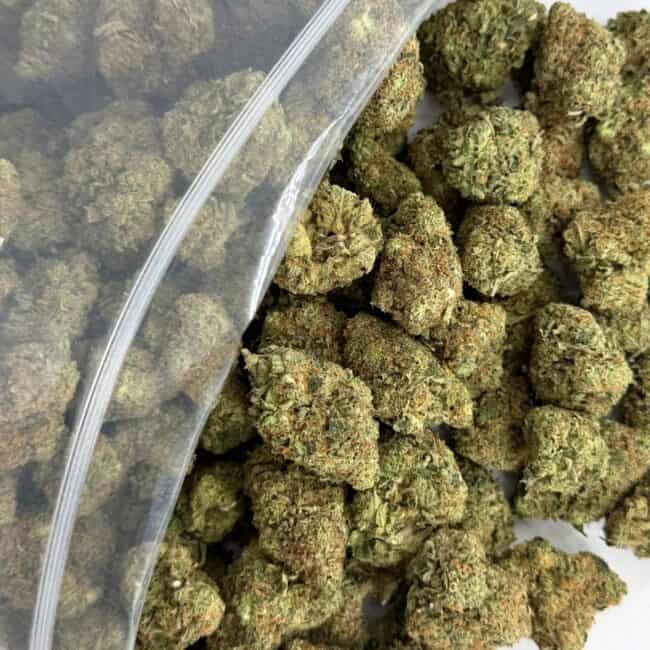 Gros plan sur des têtes de cannabis débordant d'un sachet en plastique transparent de marque ZIP-ZAG sur une surface blanche, montrant des têtes vertes denses avec des trichomes visibles et des poils orange.