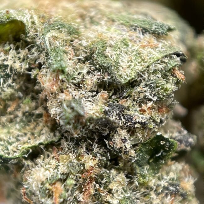 28gr - KRAKEN (SMALLS) - INDICA - (AAA) - Image 2