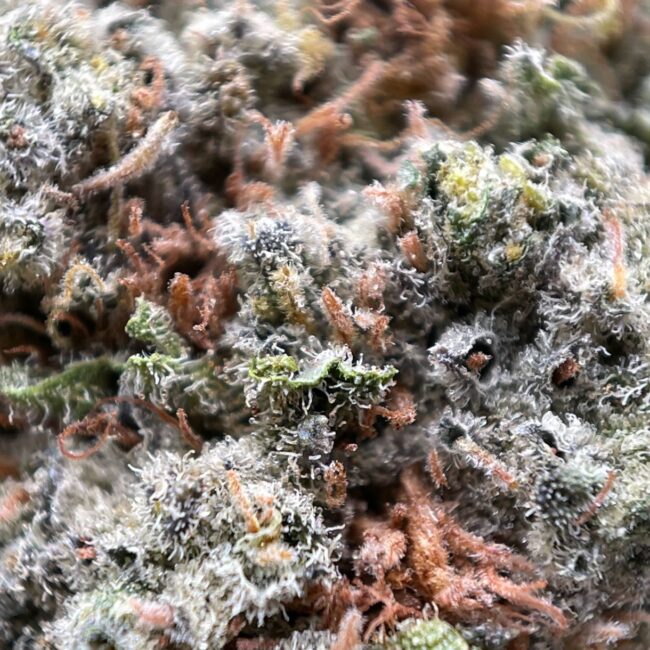 28gr - VANILLA FROSTING - INDICA - (AAA) - Image 2