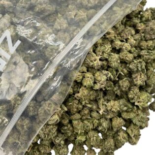 Pink Rockstar Smalls