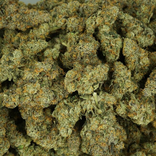 7gr - ANIMAL COOKIES - INDICA - (AAA) - Image 3
