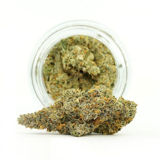 7gr - ANIMAL COOKIES - INDICA - (AAA)