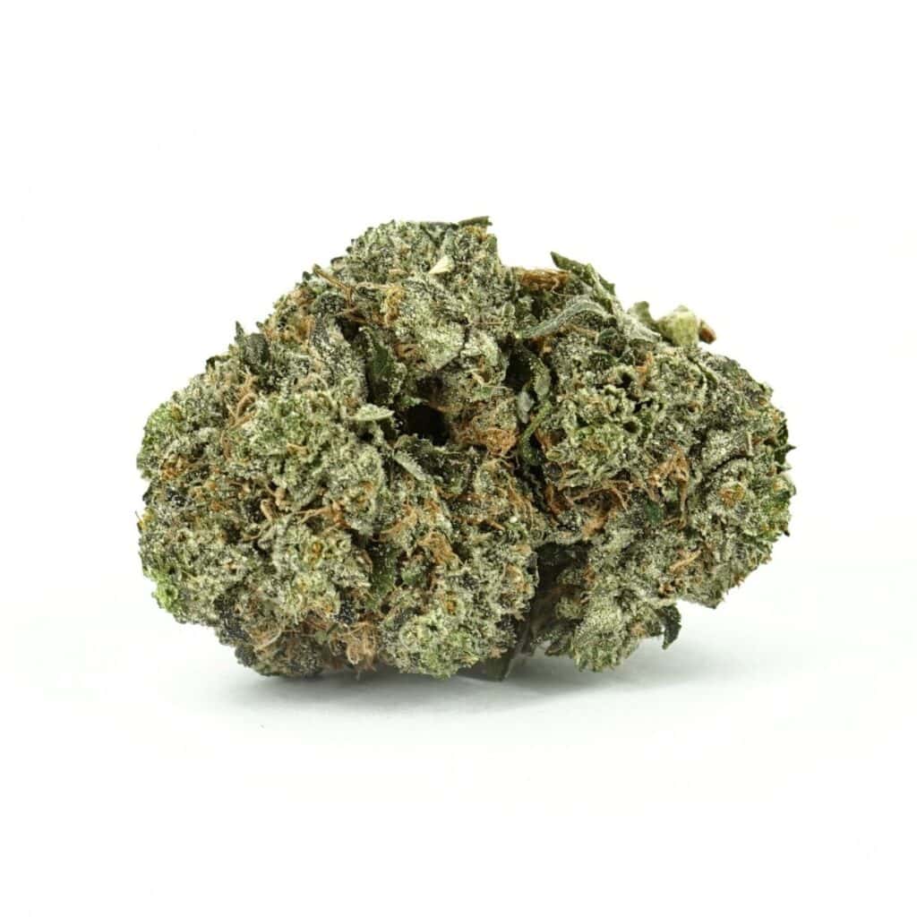 Pink Gorilla Indica