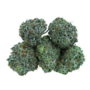  AA Indica Strain