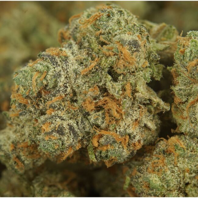 1/2p - GOUDABERRY (BULK) - INDICA - (AAA) - Image 2