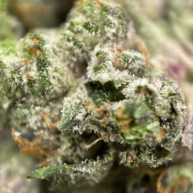 28gr - ISLAND PINK KUSH (SMALLS) - INDICA - (AAA) - Image 2