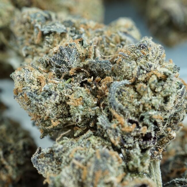 28gr - RUNTZ - BALANCED HYBRID - (AAA) - Image 2