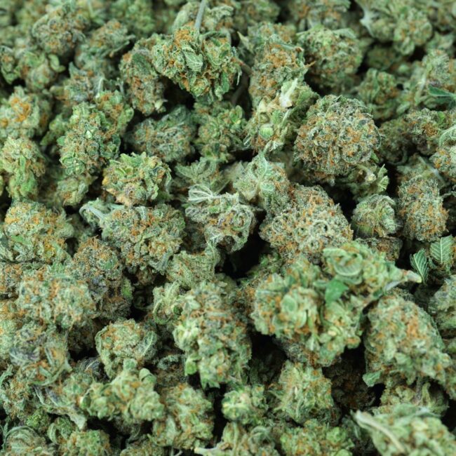 28gr - LEMON TART (MICROS) - SATIVA - (AAA) - Image 3