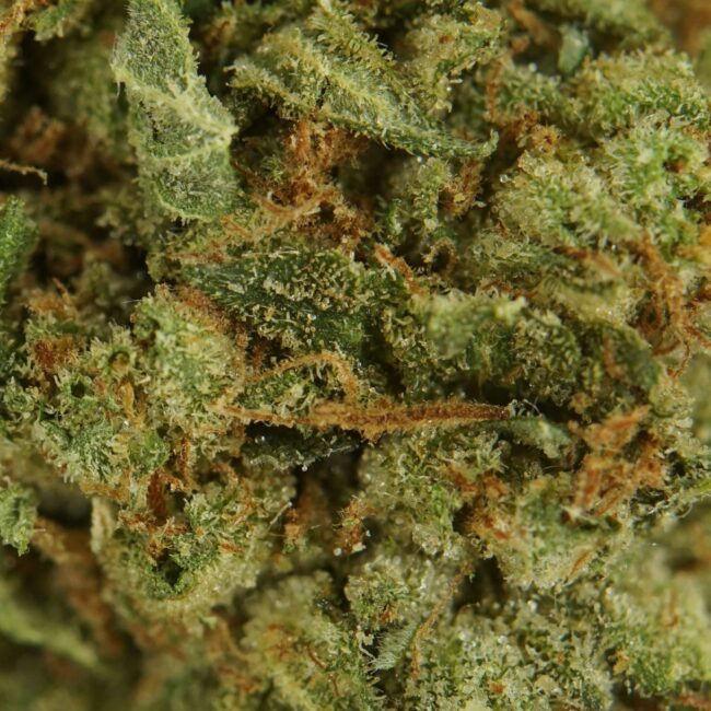 28gr - EL CHAPO - INDICA - (AAA) - Image 2