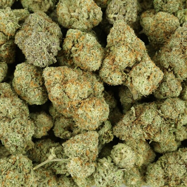 28gr - ANIMAL BERRY - BALANCED HYBRID - (AAA) - Image 3