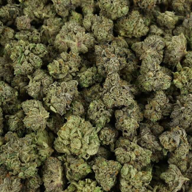 28gr - BLACK TUNA (SMALLS) - BALANCED HYBRID - (AAA) - Image 3