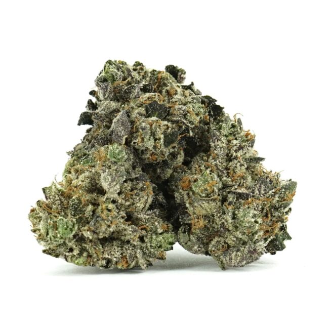 1/2p - BLACK TUNA (SMALLS) (BULK) - BALANCED HYBRID - (AAA) - Image 3