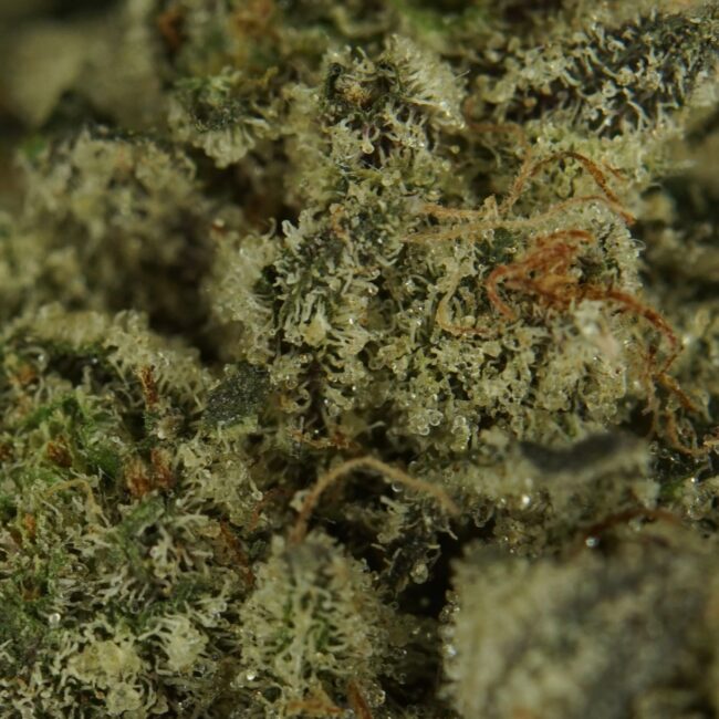 28gr - DEATH BUBBA (SMALLS) - INDICA - (AAA) - Image 2