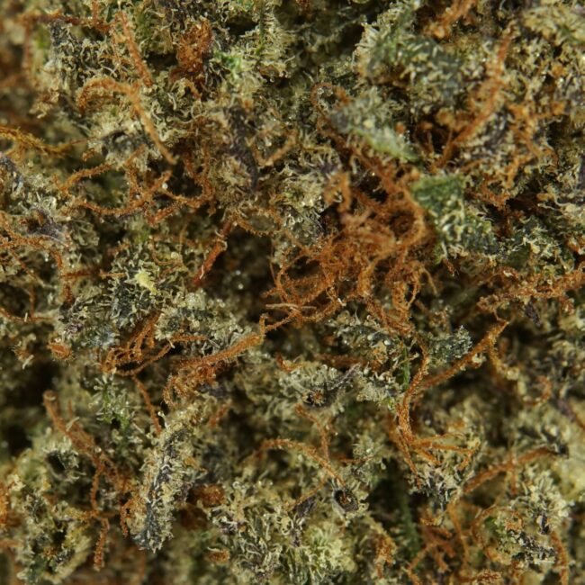 28gr - BLACK NUKEN - INDICA - (AAA) - Image 2