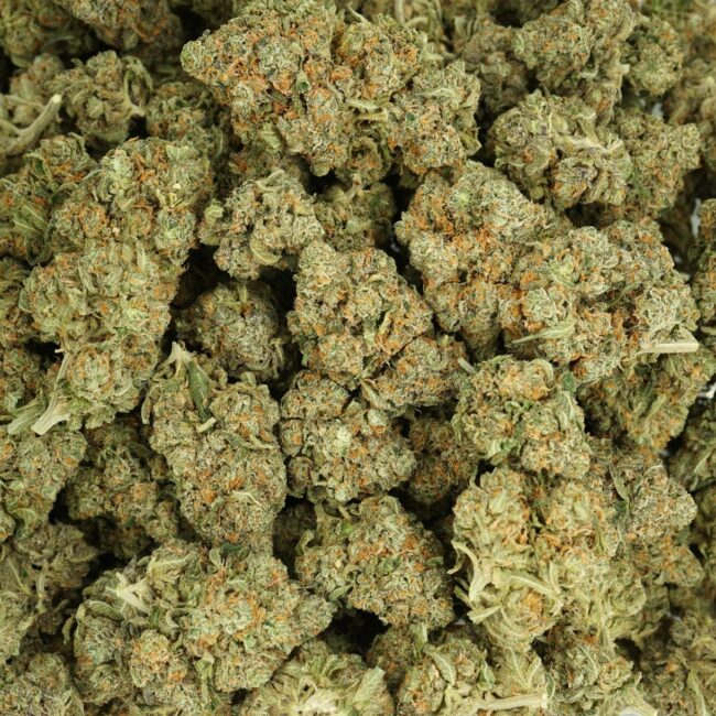 28gr - PEANUT BUTTER BREATH - BALANCED HYBRID - (AAA) - Image 3