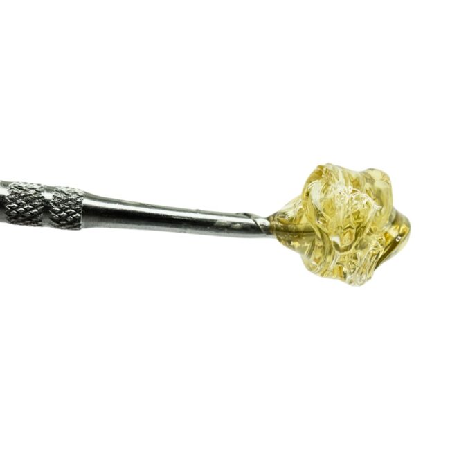 8gr - PINE CANDY (HONEY OIL IN JAR) - BALANCED HYBRID - (AAA)