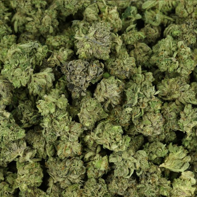 28gr - ROCKSTAR (SMALLS) - BALANCED HYBRID - (AAA) - Image 3