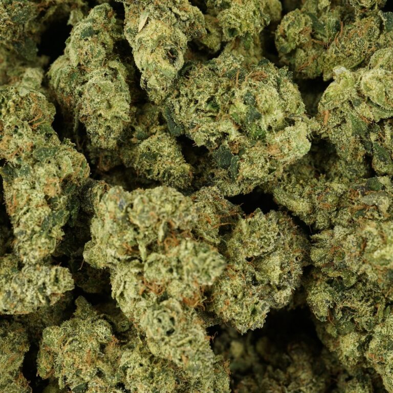 PP sour n