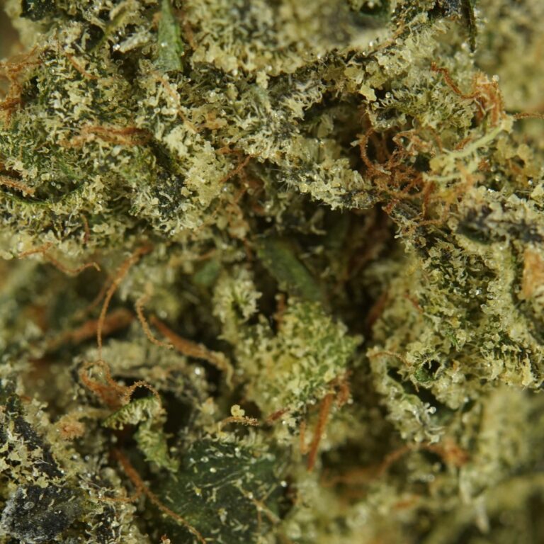 PP sour nn