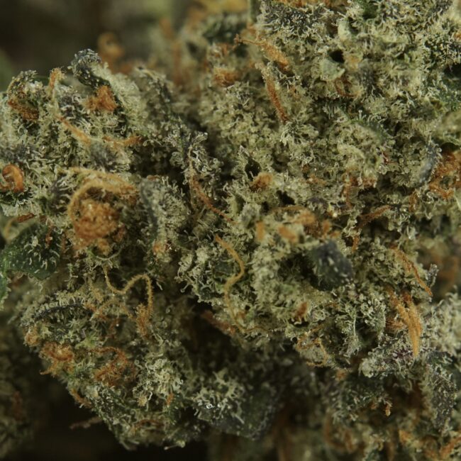 28gr - BLACK TUNA (SMALLS) - BALANCED HYBRID - (AAA) - Image 2