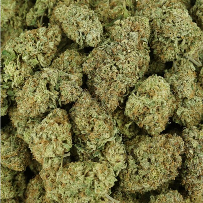 28gr - BLACKBERRY DREAM - SATIVA - (AAA) - Image 3