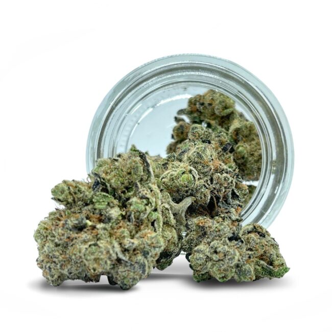 7gr - GAS TRUFFLE - INDICA - (AAAA)