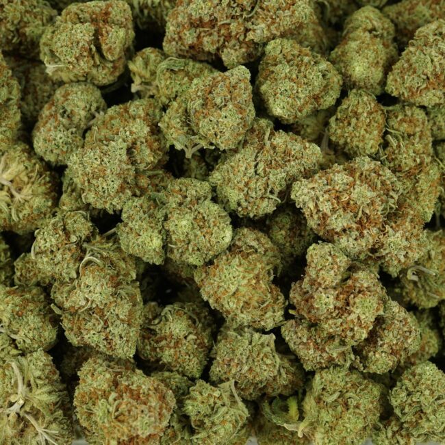 28gr - JEALOUSY - SATIVA - (AAA) - Image 3