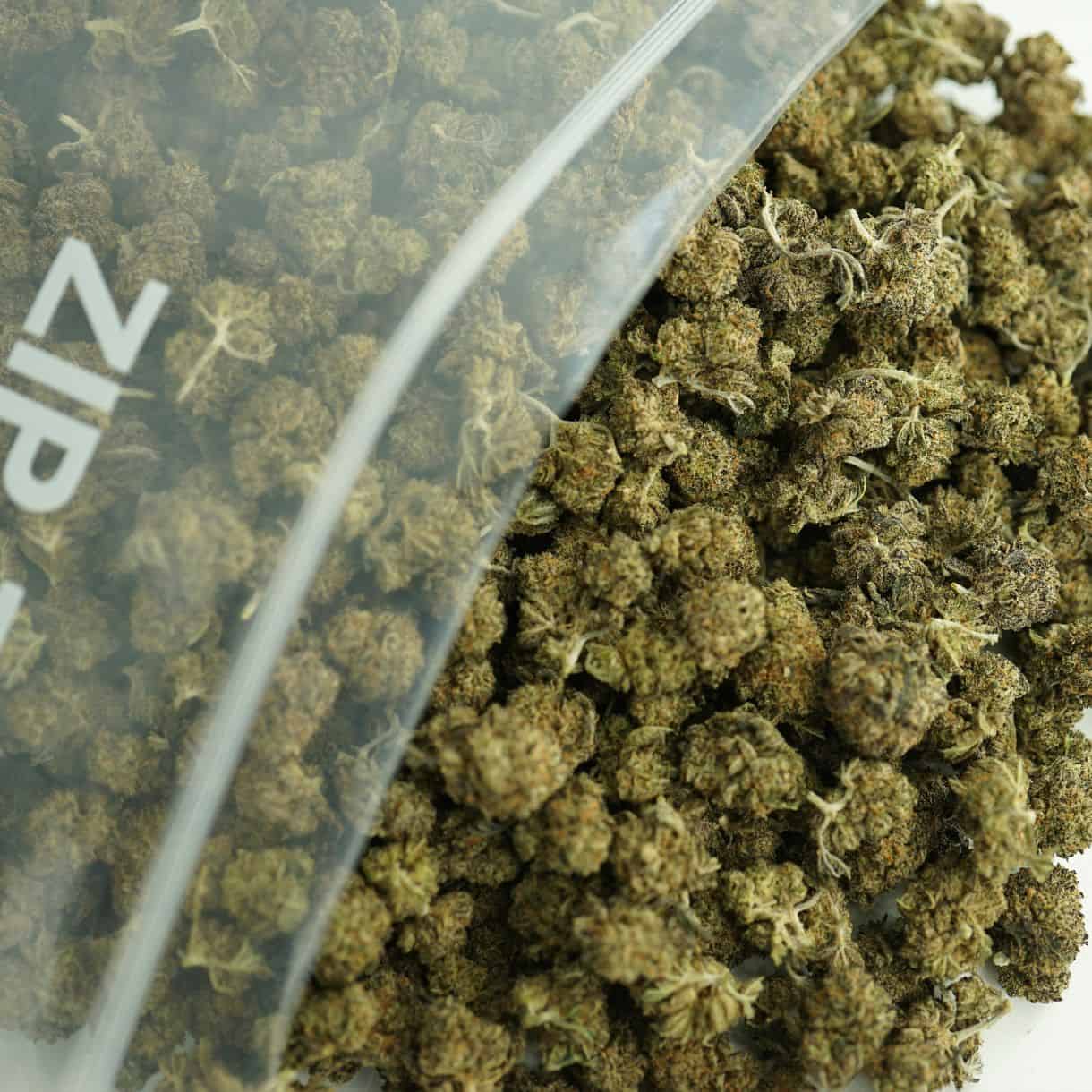 close-up image of runtz smalls bulk cannabis buds spilling out of a clear ZIP-ZAG plastic bag onto a white surface, showing dense green nugs with visible trichomes and orange hairs.