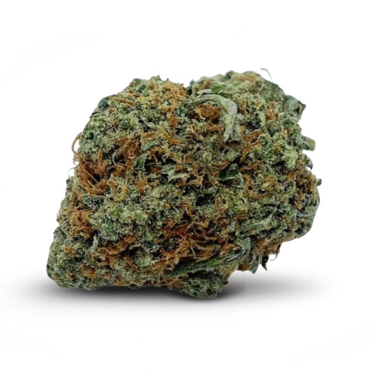 pp tangie p