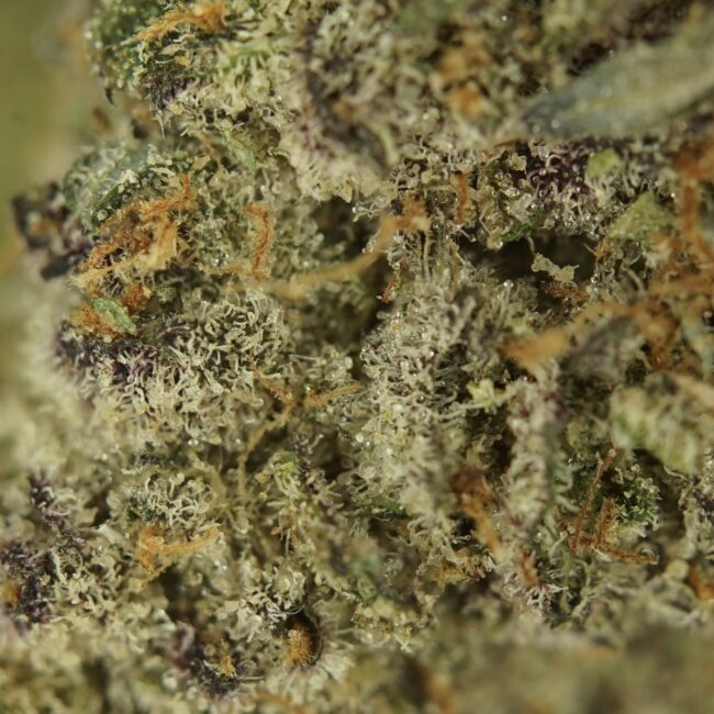 1/2p- CANDY (BULK) - INDICA - (AAA) - Image 2