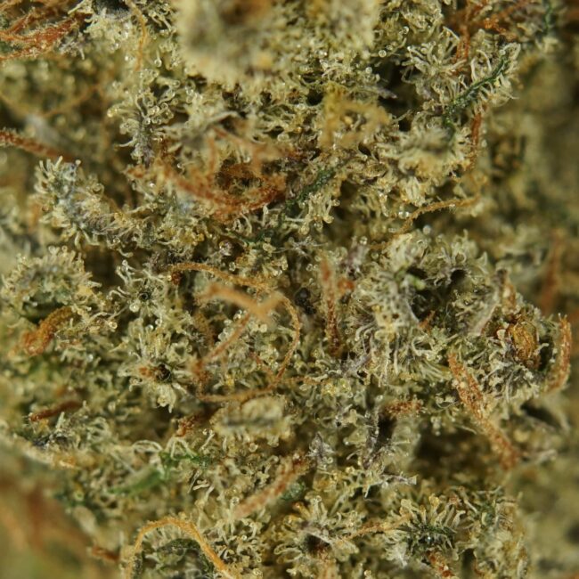 Top Indica Flower