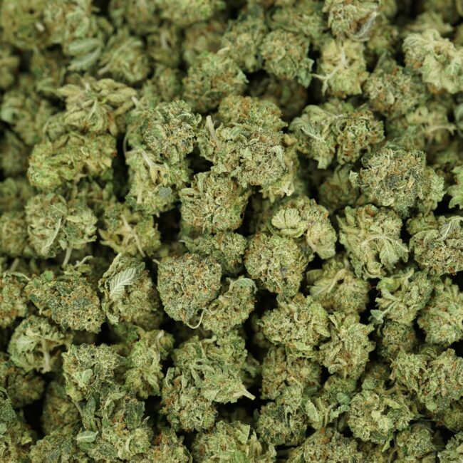 28gr - BLACKBERRY (SMALLS) - INDICA - (AAA) - Image 3