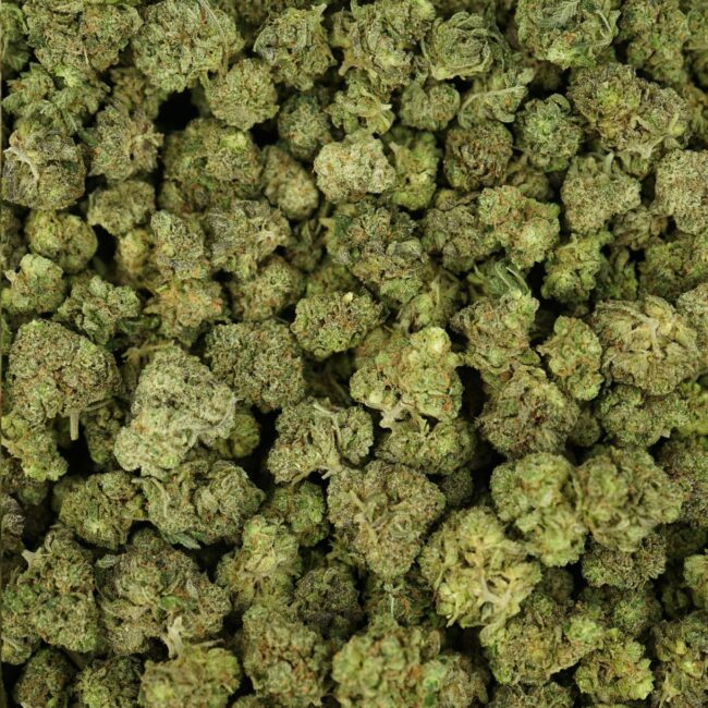 28gr - LEMON TART (MICROS) - SATIVA - (AAA) - Image 3