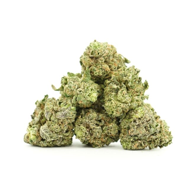 28gr - LEMON TART (MICROS) - SATIVA - (AAA)