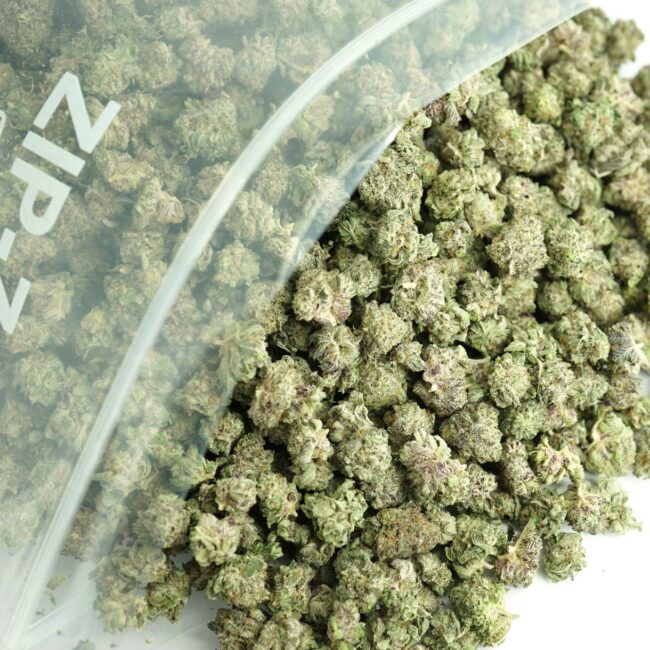 1/2p- PURPLE PUNCH (SMALLS) (BULK) - INDICA - (AAA)