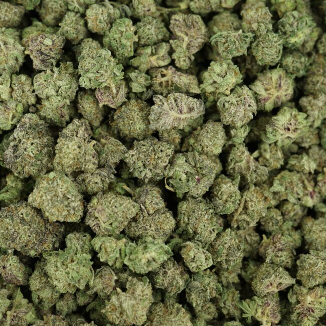 28gr- PURPLE PUNCH (SMALLS) - INDICA - (AAA) - Image 3