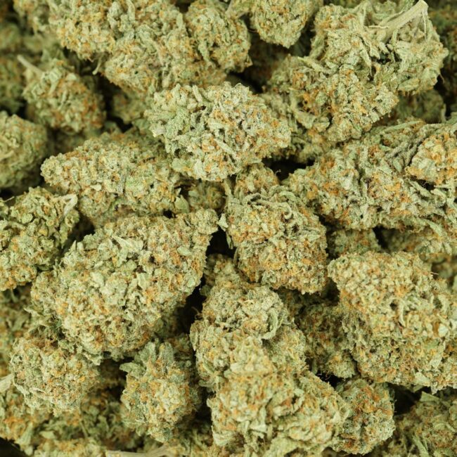 28gr - GORILLA MAC - BALANCED HYBRID - (AAA) - Image 3