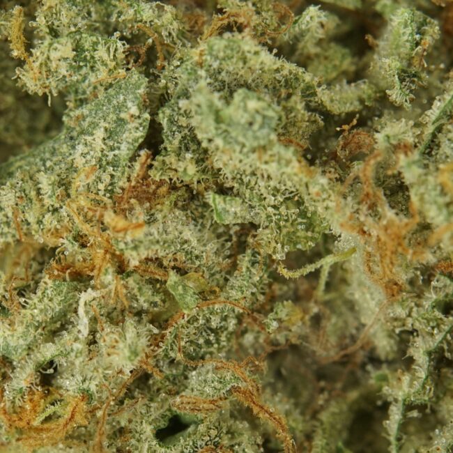 28gr - GORILLA MAC - BALANCED HYBRID - (AAA) - Image 2