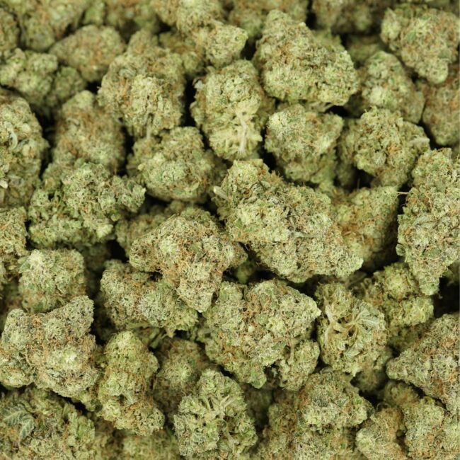 28gr - HALIBUT - BALANCED HYBRID - (AAA) - Image 3