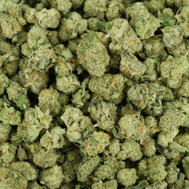 28gr - KING LOUIE XIII (SMALLS) - INDICA - (AAA) - Image 3